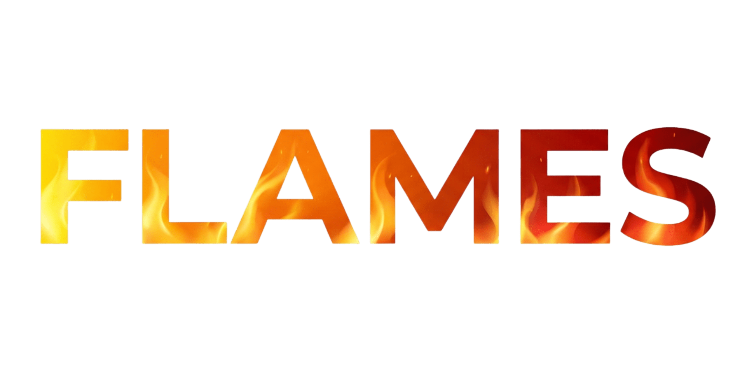 FLAMES LOGO