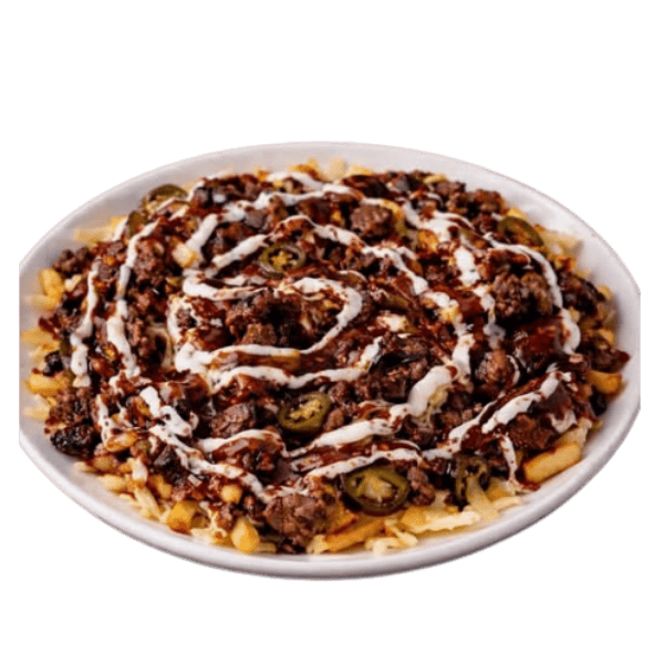 beef loaded fries